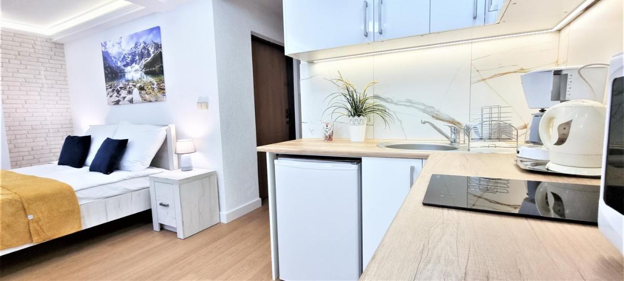 Vip Apartamenty Tetmajera Centrum 扎科帕内 外观 照片
